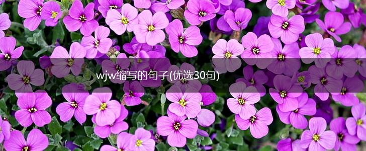 wjw缩写的句子(优选30句),第1张