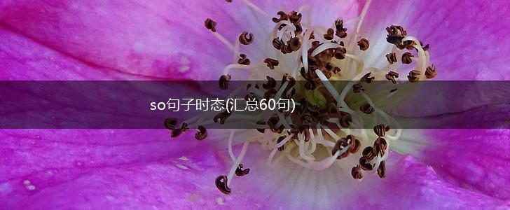 so句子时态(汇总60句),第1张