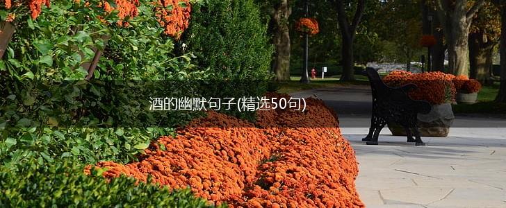 酒的幽默句子(精选50句),第1张