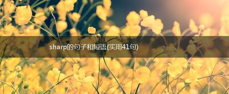 sharp的句子和短语(实用41句),第1张