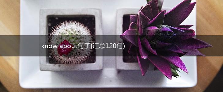 know about句子(汇总120句),第1张