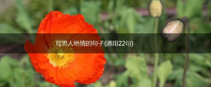 骂男人绝情的句子(通用22句),第1张