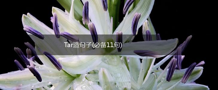Tar造句子(必备11句),第1张