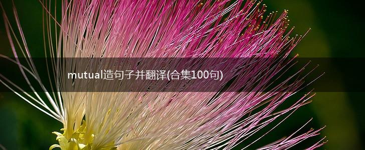 mutual造句子并翻译(合集100句),第1张