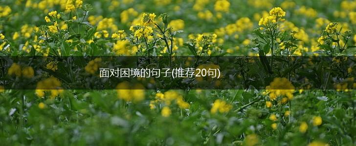 面对困境的句子(推荐20句),第1张