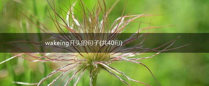 wakeing开头的句子(共40句),第1张