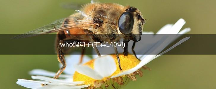 who编句子(推荐140句),第1张