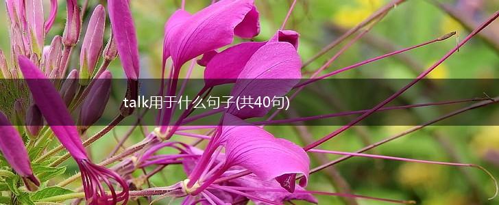 talk用于什么句子(共40句),第1张