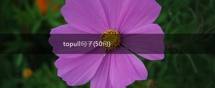 topull句子(50句),第1张