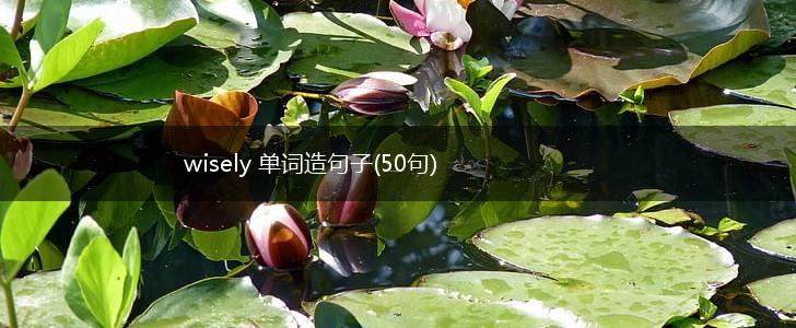 wisely 单词造句子(50句),第1张