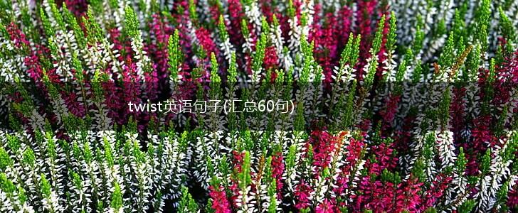 twist英语句子(汇总60句),第1张