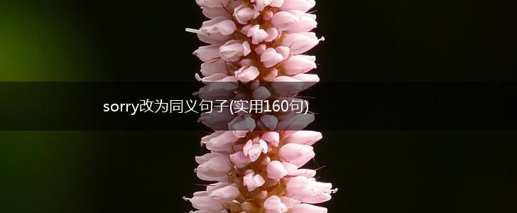 sorry改为同义句子(实用160句),第1张
