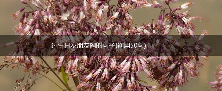 过生日发朋友圈的句子(通用50句),第1张