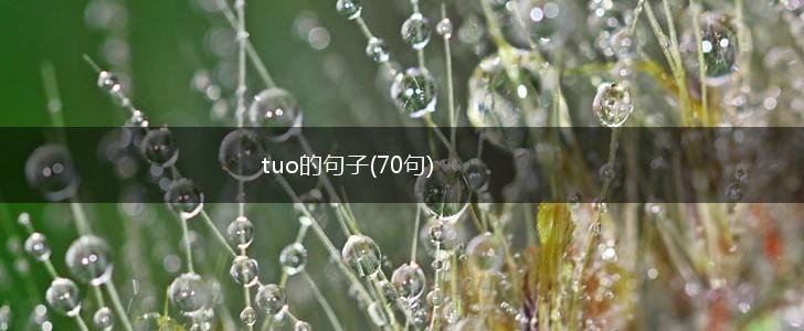 tuo的句子(70句),第1张
