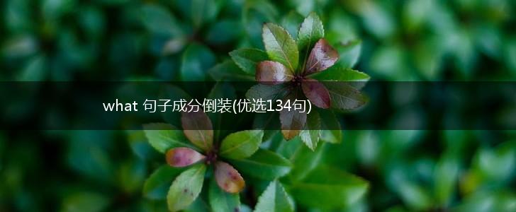 what 句子成分倒装(优选134句),第1张