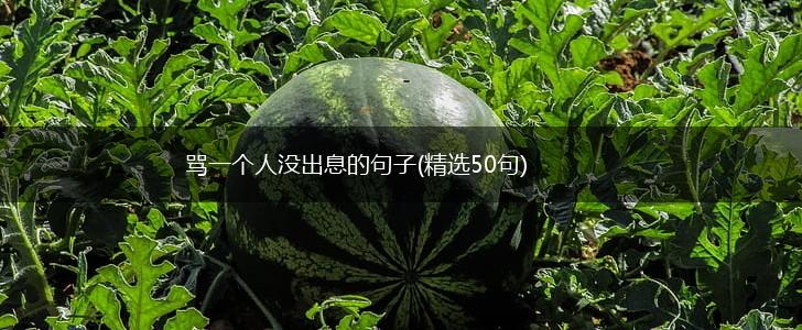 骂一个人没出息的句子(精选50句),第1张