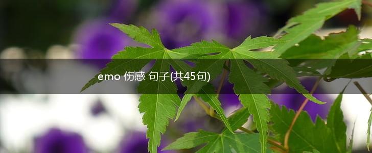 emo 伤感 句子(共45句),第1张
