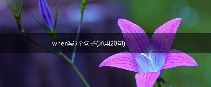 when写5个句子(通用20句),第1张
