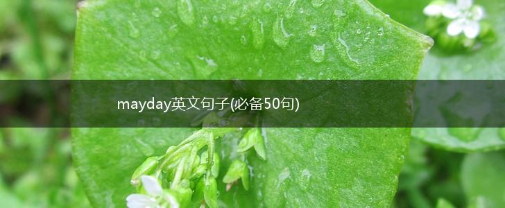 mayday英文句子(必备50句),第1张