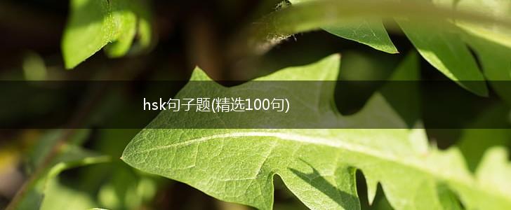 hsk句子题(精选100句),第1张
