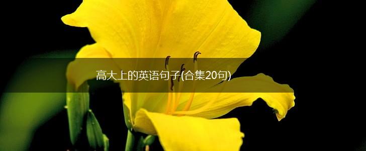 高大上的英语句子(合集20句),第1张