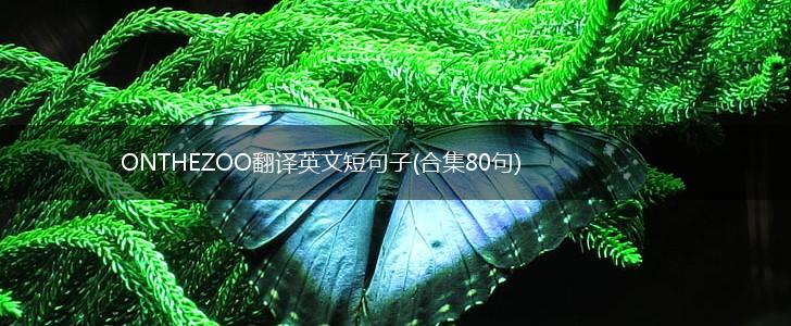 ONTHEZOO翻译英文短句子(合集80句),第1张