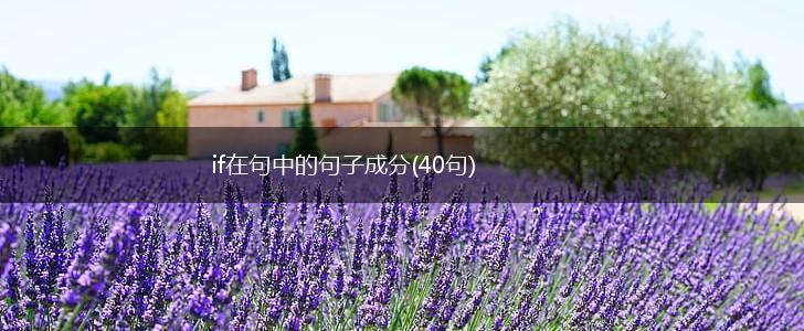 if在句中的句子成分(40句),第1张