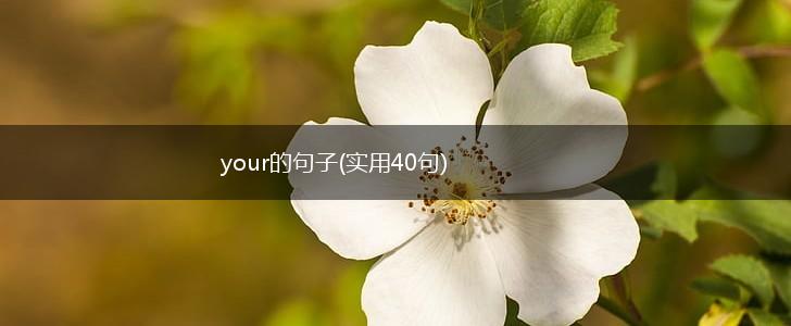 your的句子(实用40句),第1张
