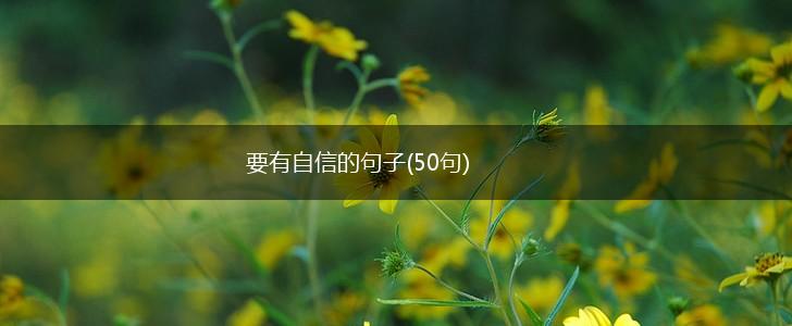 要有自信的句子(50句),第1张