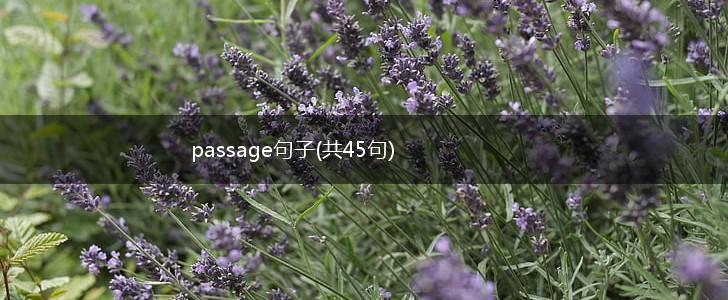 passage句子(共45句),第1张