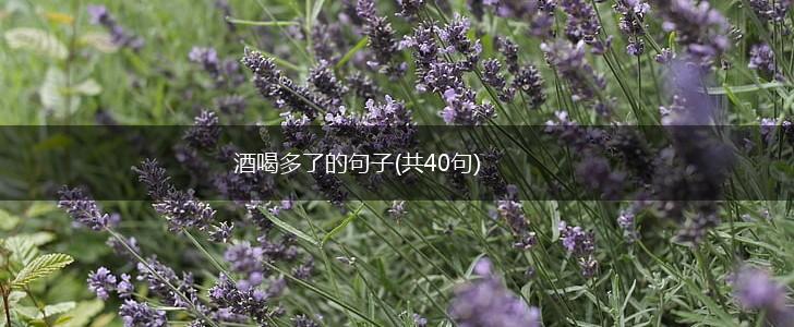 酒喝多了的句子(共40句),第1张