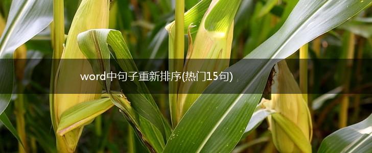 word中句子重新排序(热门15句),第1张