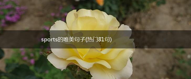 sports的唯美句子(热门81句),第1张