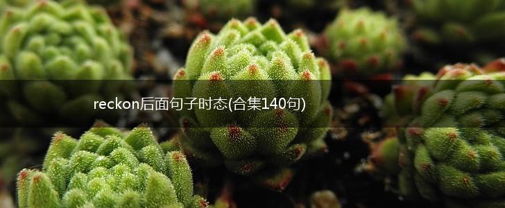 reckon后面句子时态(合集140句),第1张