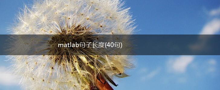 matlab句子长度(40句),第1张