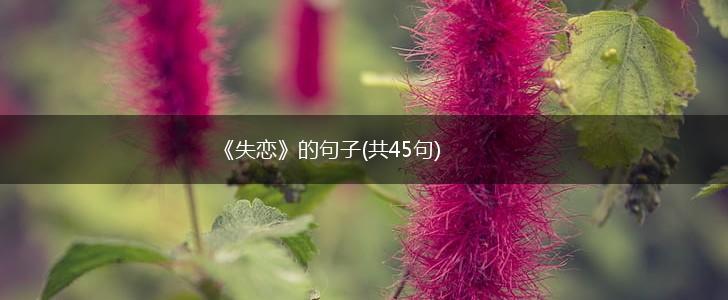 《失恋》的句子(共45句),第1张