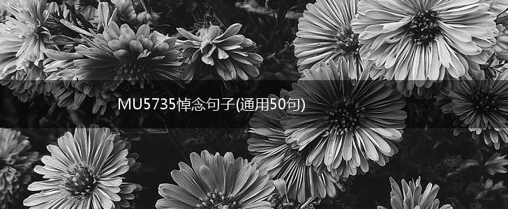 MU5735悼念句子(通用50句),第1张