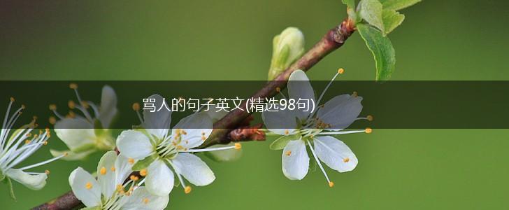 骂人的句子英文(精选98句),第1张
