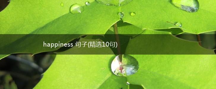 happiness 句子(精选10句),第1张