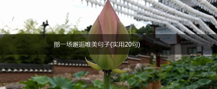 那一场邂逅唯美句子(实用20句),第1张