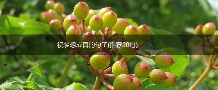 祝梦想成真的句子(推荐20句),第1张