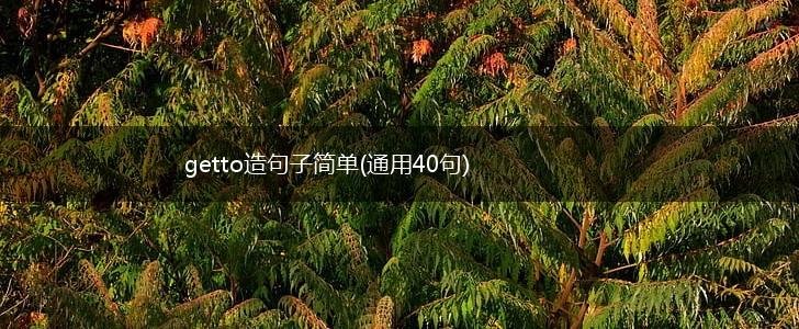 getto造句子简单(通用40句),第1张