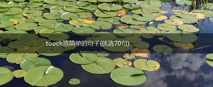 touch造简单的句子(优选70句),第1张