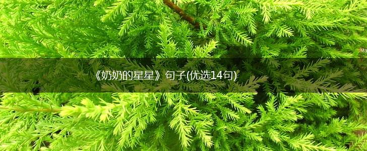 《奶奶的星星》句子(优选14句),第1张