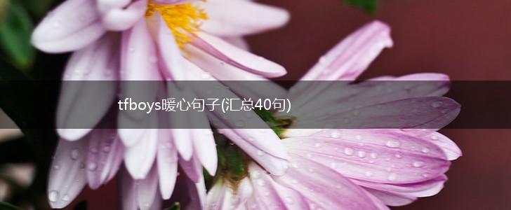tfboys暖心句子(汇总40句),第1张