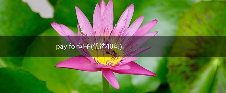 pay for句子(优选40句),第1张