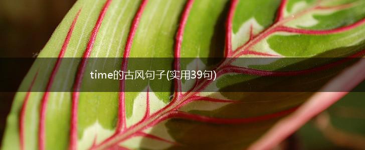 time的古风句子(实用39句),第1张