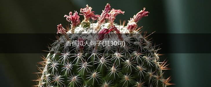 香蕉拟人句子(共30句),第1张
