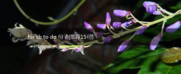 for sb to do 句子(推荐15句),第1张