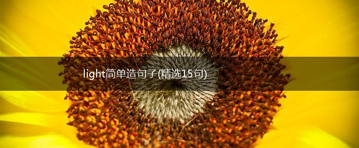 light简单造句子(精选15句),第1张